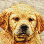 Gobelin decorative cushion design Golden Retriever puppies