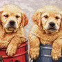 Cuscino gobelin disegno Golden Retriever cuccioli