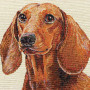 Gobelin decorative cushion with Brown Dachshund design