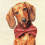 Gobelin decorative cushion design Brown Dachshund with bow tie