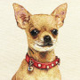 Cuscino gobelin disegno Chihuahua