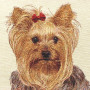 Cuscino gobelin disegno Yorkshire