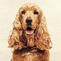Cuscino gobelin disegno Cocker