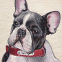 Gobelin decorative cushion design French Bulldog Willy