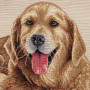 Cuscino gobelin disegno Golden Retriever