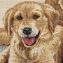 Cuscino gobelin disegno Golden Retriever