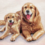Cuscino gobelin disegno Golden Retriever