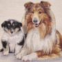 Gobelin decorative cushion with Collie design