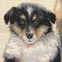 Gobelin decorative cushion with Collie design