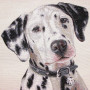 Gobelin decorative cushion with Dalmatian design