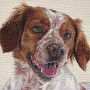 Cuscino gobelin disegno Breton