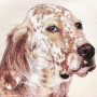 Gobelin decorative cushion with Setter design