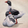 Cuscino gobelin disegno Oche