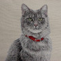 Gobelin decorative cushion design Gray cat with red collar