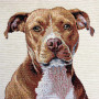 Gobelin decorative cushion with Pitbull design