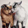 Cuscino gobelin disegno Caprette