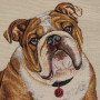Cuscino gobelin disegno Bulldog inglese