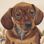 Gobelin decorative cushion design Brown Dachshund with flowers
