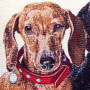 Cuscino gobelin disegno Bassottini con collare