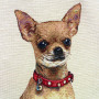 Borsa gobelin disegno Chihuahua