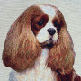 Borsa gobelin disegno Cavalier King Blenheim