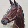 Borsa gobelin disegno Cavallo marrone
